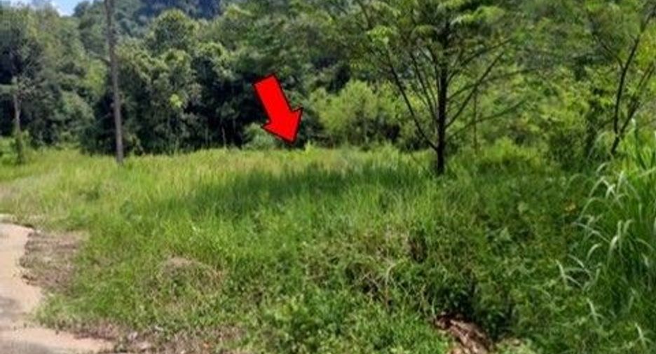 Продажа Участок в Хатъяй, Songkhla