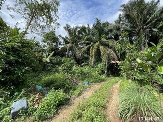 Продажа Участок в Mueang Phatthalung, Пхаттхалунг