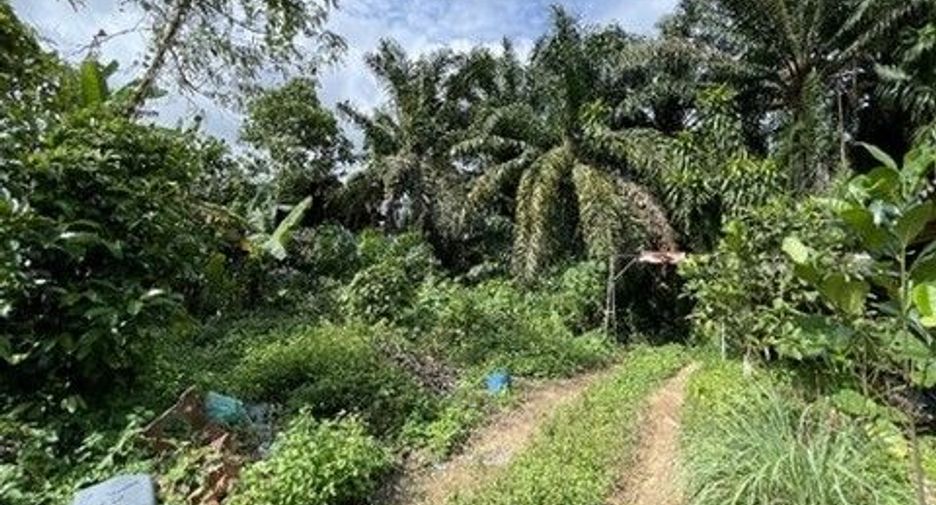Продажа Участок в Mueang Phatthalung, Пхаттхалунг
