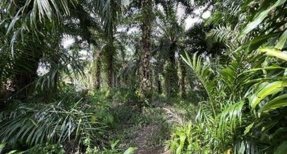 Продажа Участок в Mueang Phatthalung, Пхаттхалунг