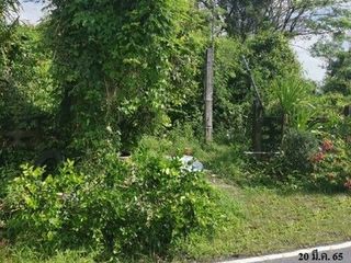 出售 1 卧室 独立屋 在 Phrom Khiri, Nakhon Si Thammarat