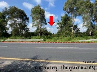 ขาย ที่ดิน ใน พรหมคีรี, นครศรีธรรมราช