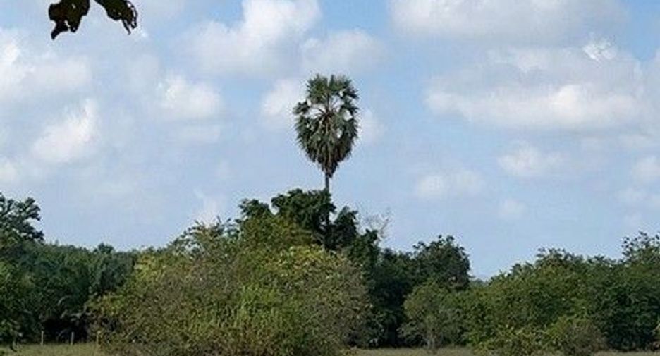 Grundstück zum Kauf in Phrom Khiri, Nakhon Si Thammarat
