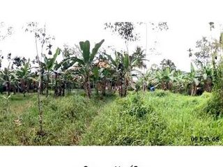 ขาย ที่ดิน ใน พรหมคีรี, นครศรีธรรมราช