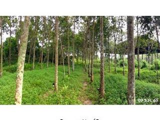 ขาย ที่ดิน ใน พรหมคีรี, นครศรีธรรมราช