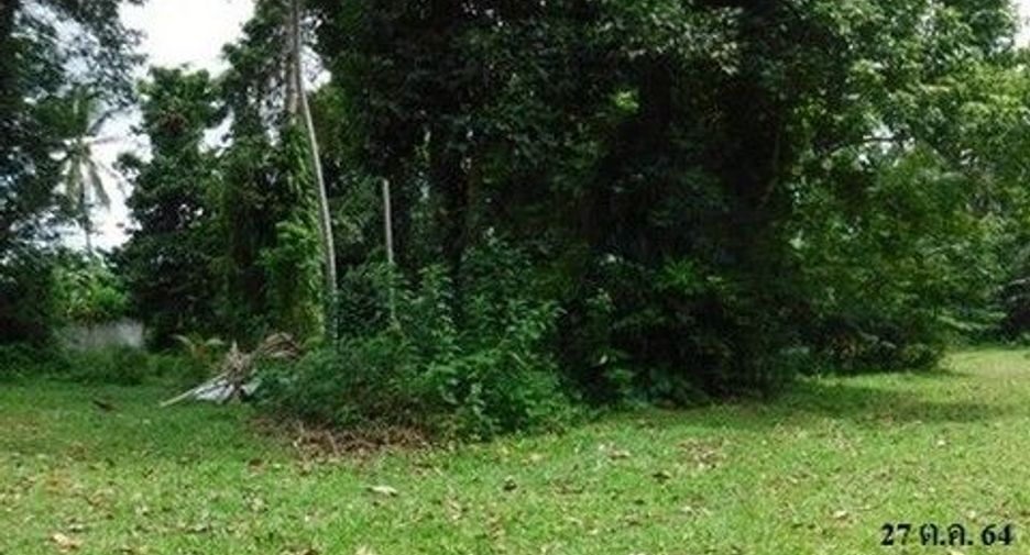Grundstück zum Kauf in Phrom Khiri, Nakhon Si Thammarat