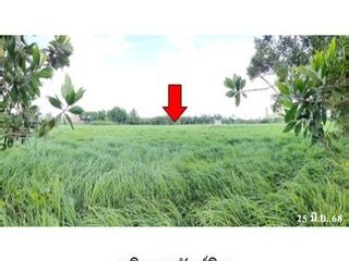 ขาย ที่ดิน ใน พรหมคีรี, นครศรีธรรมราช