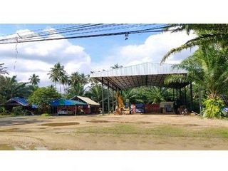 ขาย ที่ดิน ใน พรหมคีรี, นครศรีธรรมราช