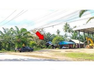 ขาย ที่ดิน ใน พรหมคีรี, นครศรีธรรมราช