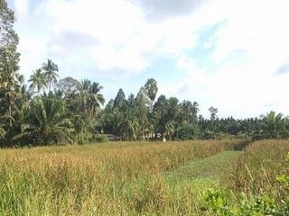 ขาย ที่ดิน ใน พรหมคีรี, นครศรีธรรมราช