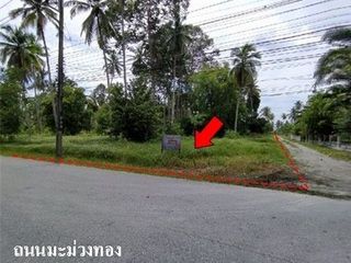 ขาย ที่ดิน ใน พรหมคีรี, นครศรีธรรมราช