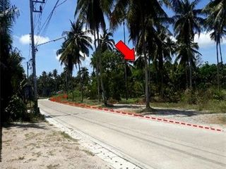 ขาย ที่ดิน ใน พรหมคีรี, นครศรีธรรมราช