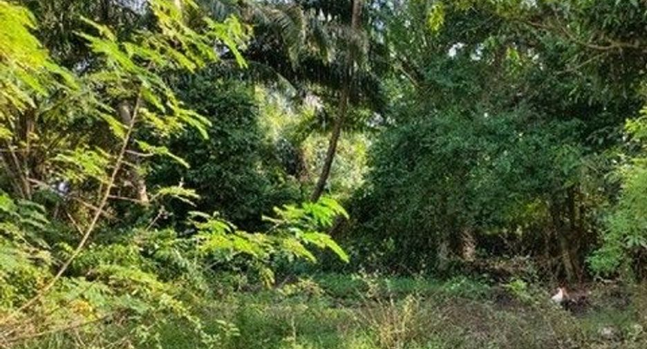 À vendre terrain à Phrom Khiri, Nakhon Si Thammarat