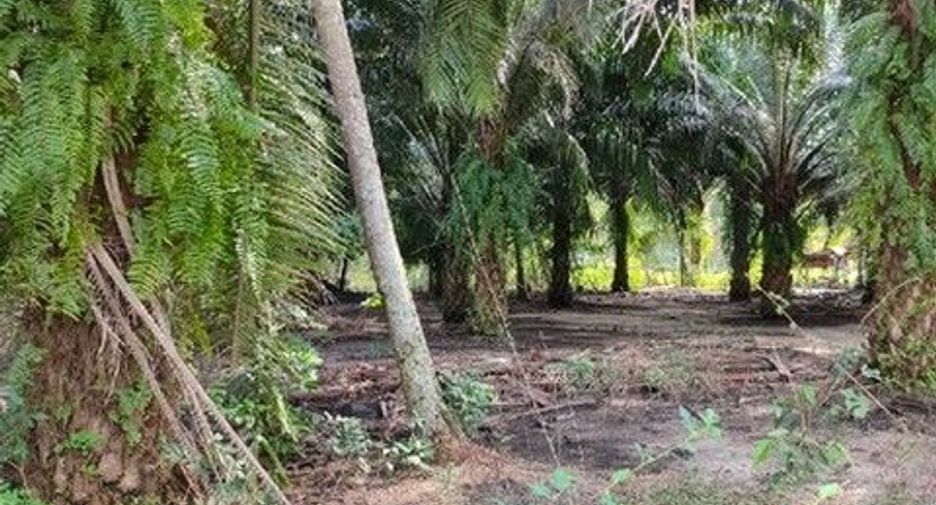 À vendre terrain à Phrom Khiri, Nakhon Si Thammarat