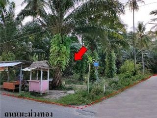 ขาย ที่ดิน ใน พรหมคีรี, นครศรีธรรมราช