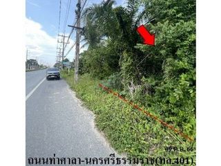 ขาย ที่ดิน ใน พรหมคีรี, นครศรีธรรมราช