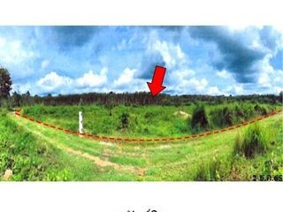 ขาย ที่ดิน ใน พรหมคีรี, นครศรีธรรมราช