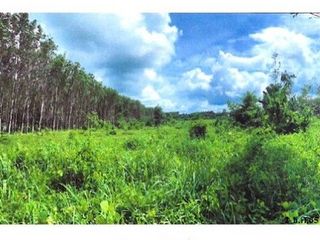 ขาย ที่ดิน ใน พรหมคีรี, นครศรีธรรมราช