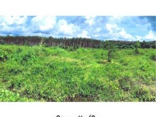 ขาย ที่ดิน ใน พรหมคีรี, นครศรีธรรมราช