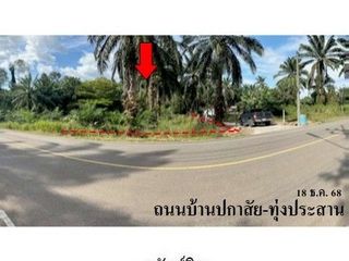 ขาย ที่ดิน ใน คลองท่อม, กระบี่
