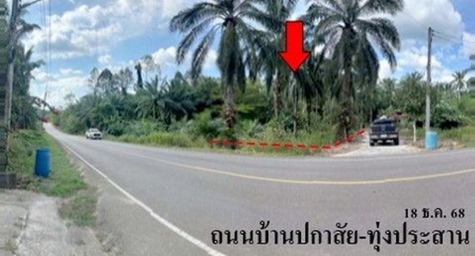 ขาย ที่ดิน ใน คลองท่อม, กระบี่