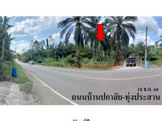ขาย ที่ดิน ใน คลองท่อม, กระบี่