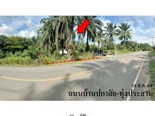 ขาย ที่ดิน ใน คลองท่อม, กระบี่