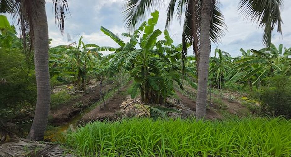 For sale land in Nong Suea, Pathum Thani