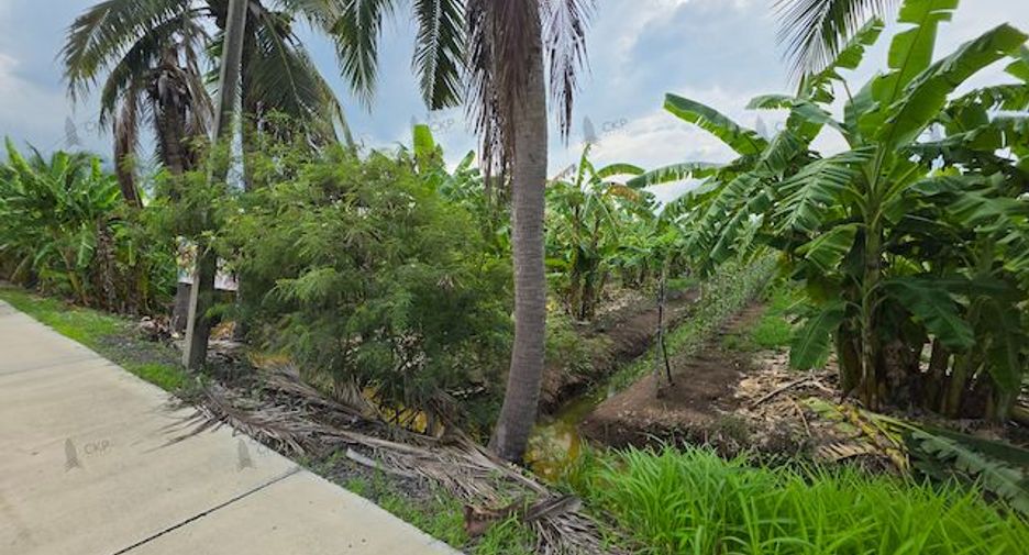 For sale land in Nong Suea, Pathum Thani