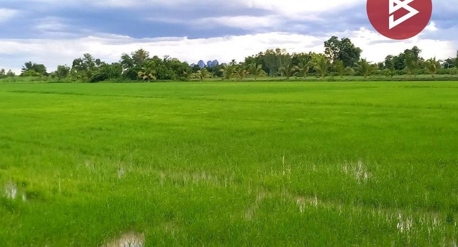 Продажа Участок в Banphot Phisai, Накхонсаван