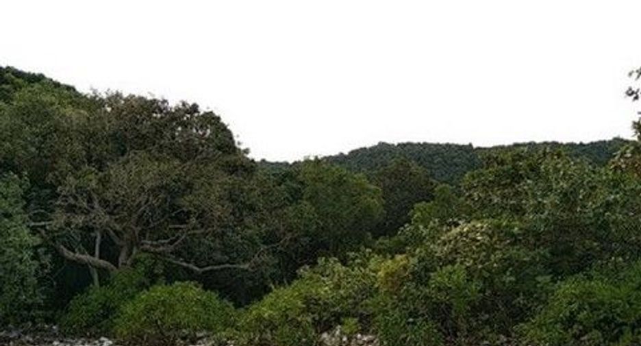 For sale land in Kapong, Phang Nga