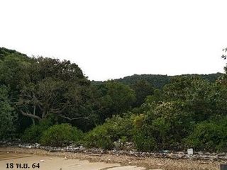 出售 土地 在 Kapong, Phangnga