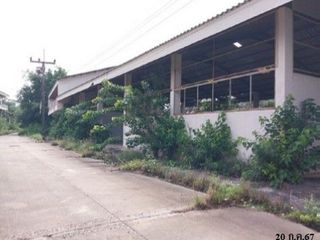 Продажа 1 кровать склад в Mayo, Pattani