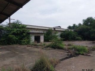 Продажа 1 кровать склад в Mayo, Pattani