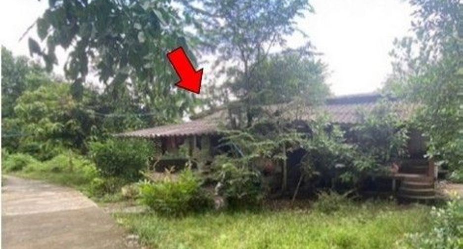Haus zum Kauf mit 1 Zimmer in Mayo, Pattani