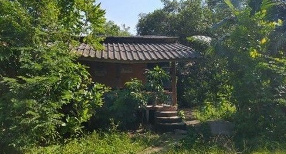 Haus zum Kauf mit 1 Zimmer in Mayo, Pattani
