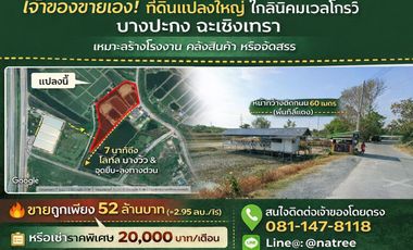For rent and for sale land in Ban Khai, Rayong