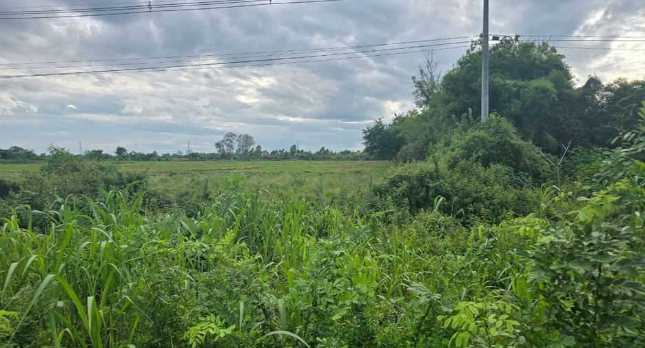 For sale land in Thong Saen Khan, Uttaradit