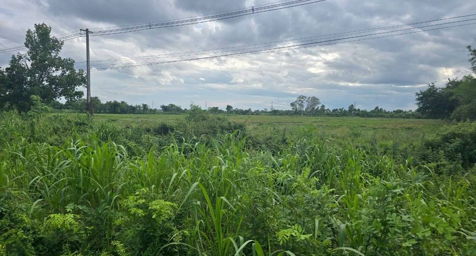 For sale land in Thong Saen Khan, Uttaradit
