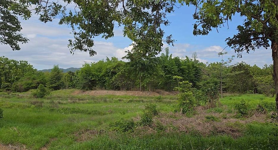 For sale land in Thong Saen Khan, Uttaradit