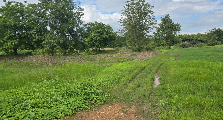 For sale land in Thong Saen Khan, Uttaradit