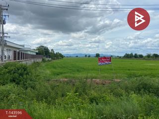 出售 土地 在 Tha Tako, Nakhon Sawan