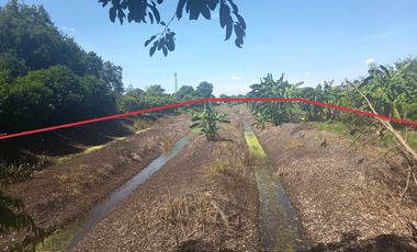 Terreno en venta en Bang Kruai, Nonthaburi