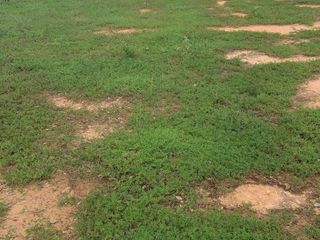 For sale land in Mueang Udon Thani, Udon Thani