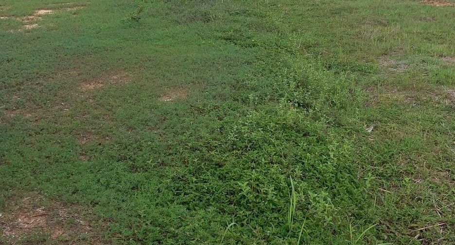 For sale land in Mueang Udon Thani, Udon Thani