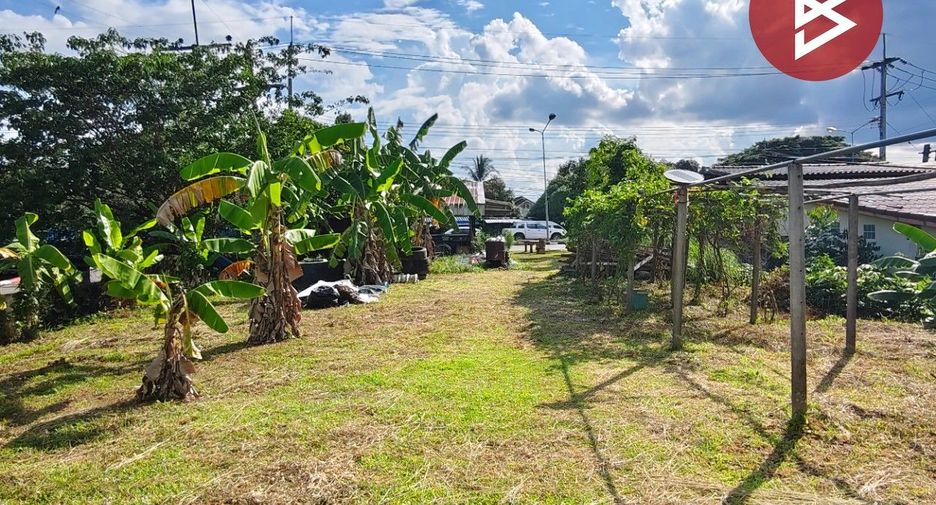 For sale land in Mueang Nakhon Si Thammarat, Nakhon Si Thammarat