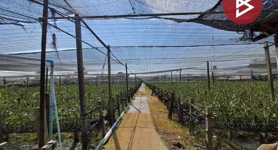 Terreno en venta en Sam Phran, Nakhon Pathom