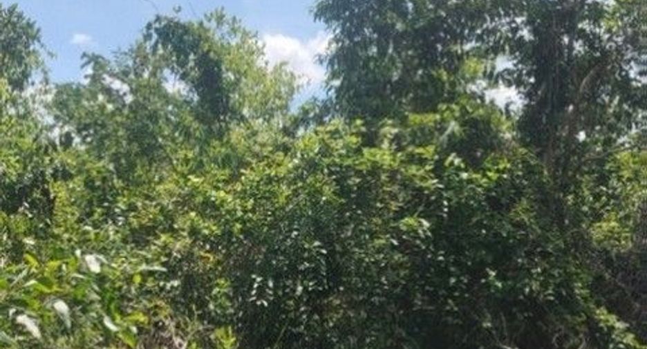 Terreno en venta en Khuan Kalong, Satun