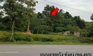 For sale land in Mueang Trang, Trang