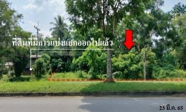 For sale land in Mueang Trang, Trang